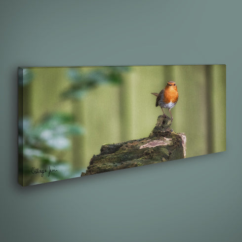 PANORAMIC - GLORIOUS BOBBIN - 1.2m x 50cm